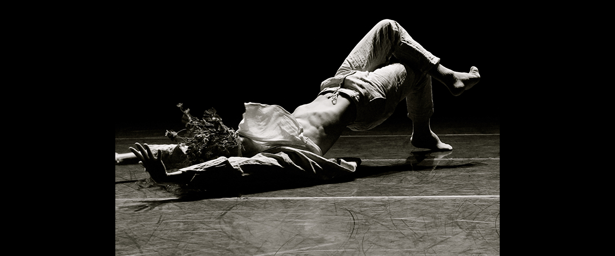 2019《面對面》加拿大 / 澳洲 / 臺灣 精選圖片