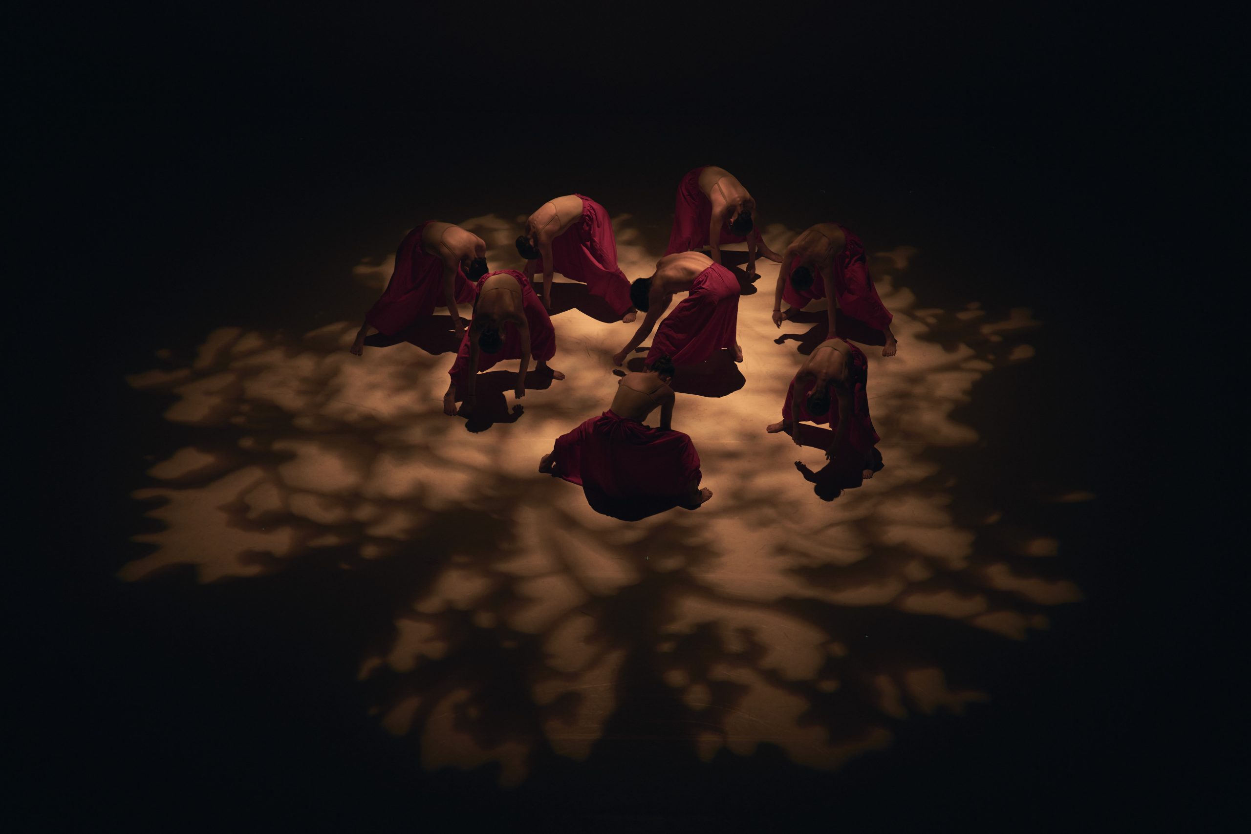 2019- 時間軸示意圖